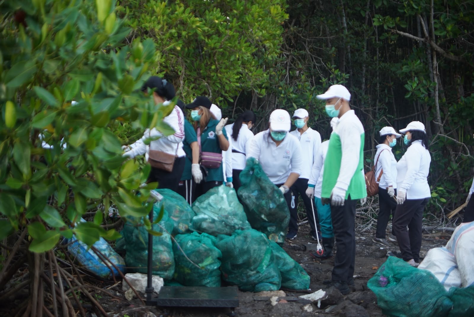 Kolaborasi dengan Sungai Watch dan Relawan, Gerakan Kulkul PKK dan Posyandu Bersihkan Hutan Bakau Sidakarya
