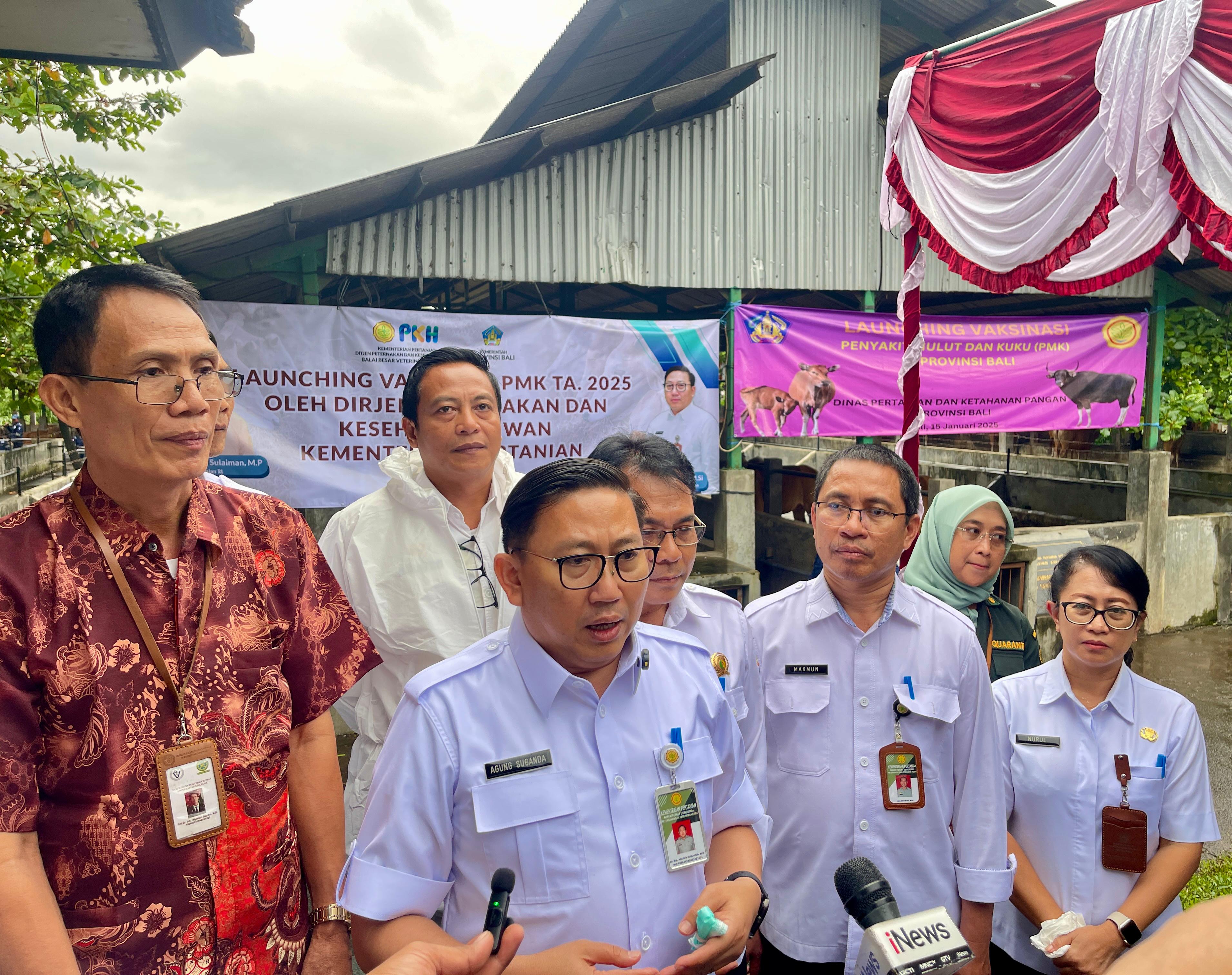 peluncuran-vaksinasi-pmk-2025-bali-diharapkan-jadi-zona-hijau